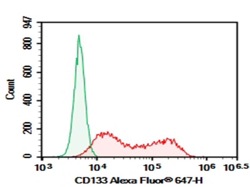 Purified Anti-Human CD133 Antibody[293C3] - 1