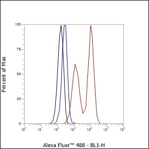 Recombinant ST13 Monoclonal Antibody - 3