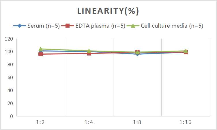 Mini Sample Human KIM-1 (Kidney Injury Molecule 1) ELISA Kit - small - 2