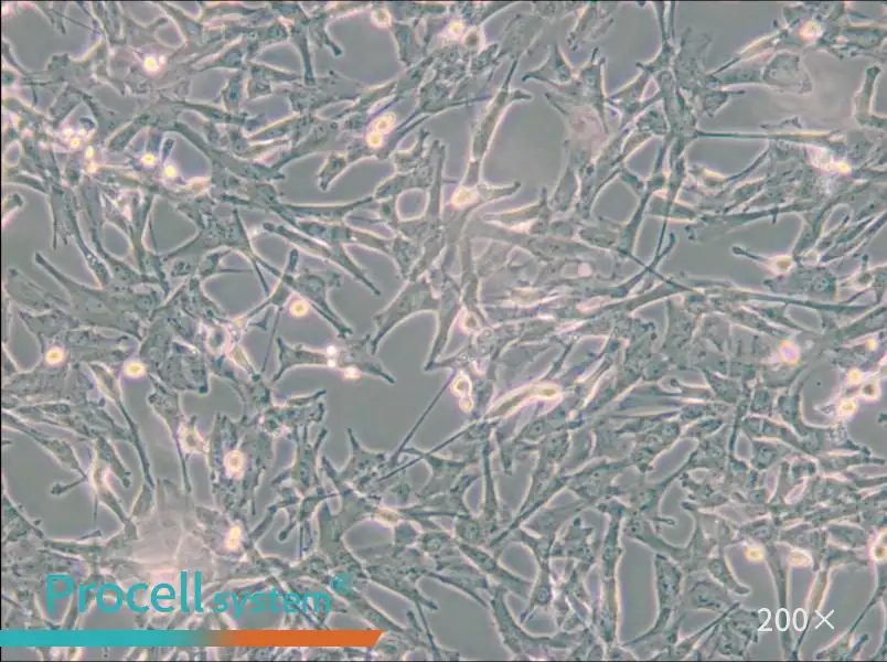 Super Tube Cell Complete Medium - 6