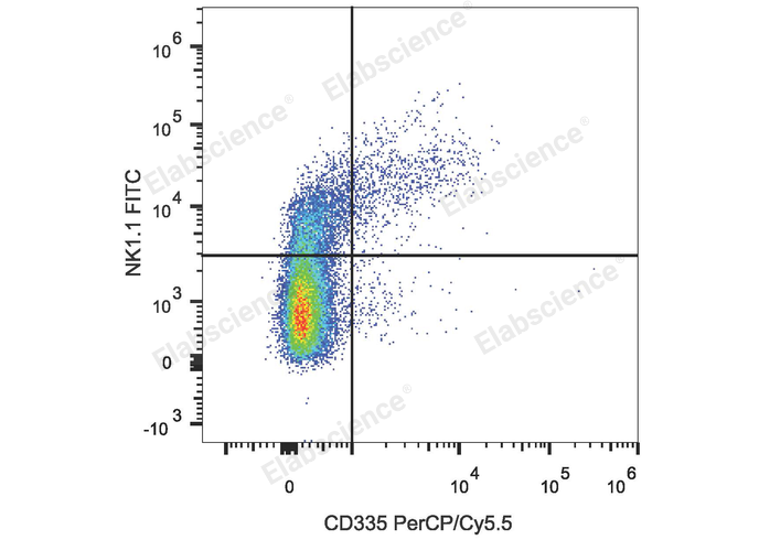 C57BL/6 murine splenocytes are stained with PerCP/Cyanine5.5 Anti-Mouse CD335 Antibody and FITC Anti-Mouse CD161/NK1.1 Antibody.