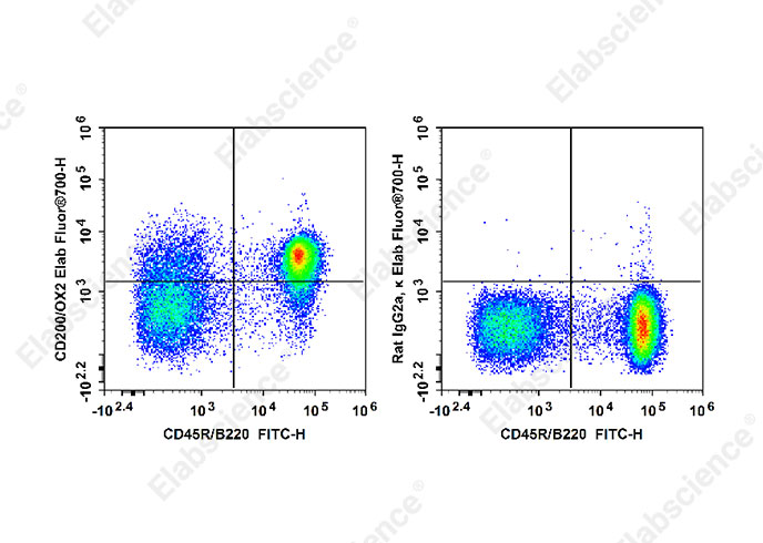 Elab Fluor® 700 Anti-Mouse CD200/OX2 Antibody[OX-90]-1