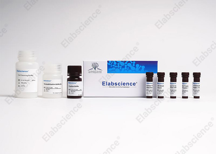 Human Th1/Th2 Flow Cytometry Staining Kit