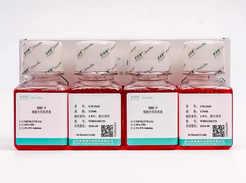 https://789.bio/ec/e5d98O