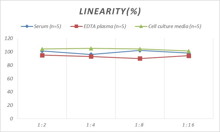 High Sensitivity Rat IL-12(Interleukin 12) ELISA Kit-产品推荐-2