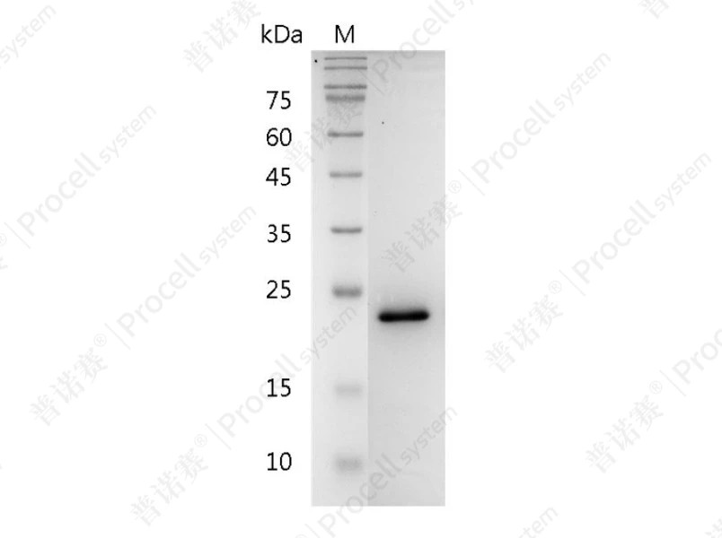 https://789.bio/ec/e9Ox90