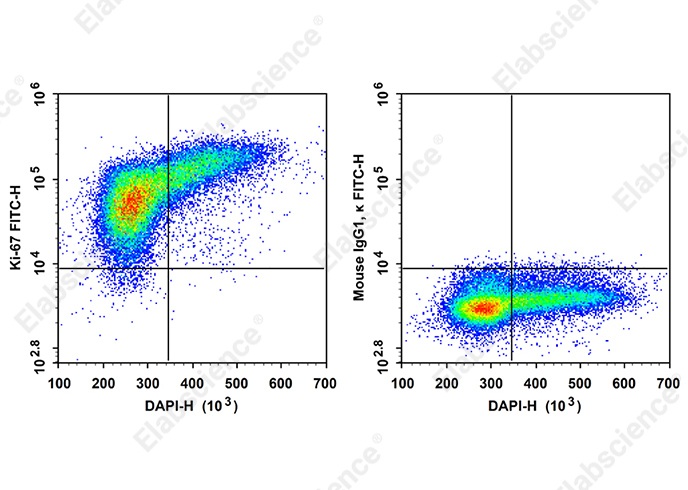 FITC Anti-Human Ki-67 Antibody[3B7]-searchlist-1