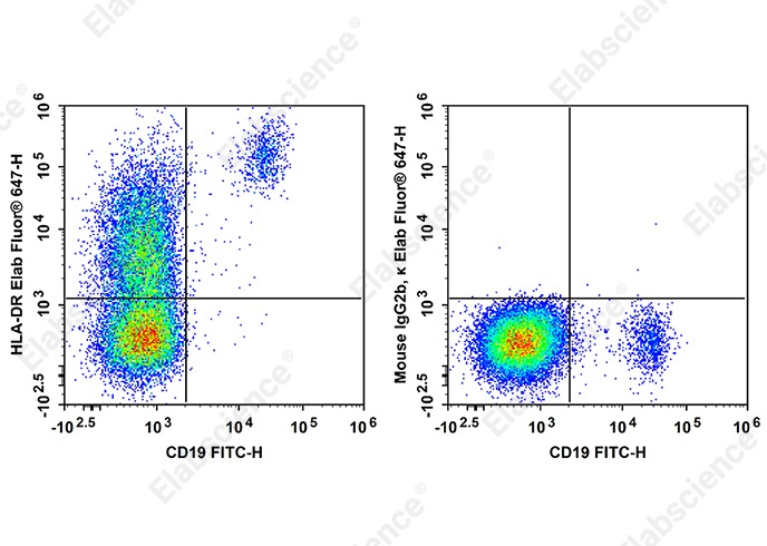 Elab Fluor<sup>®</sup>647 Anti-Human HLA-DR Antibody[LN3] - 1