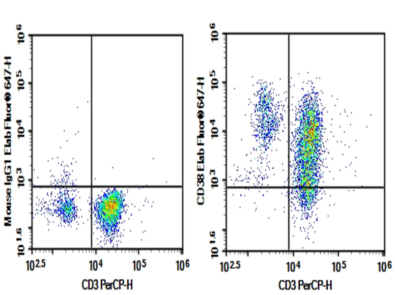 Purified Anti-Human CD39 Antibody[A1]-产品推荐-1