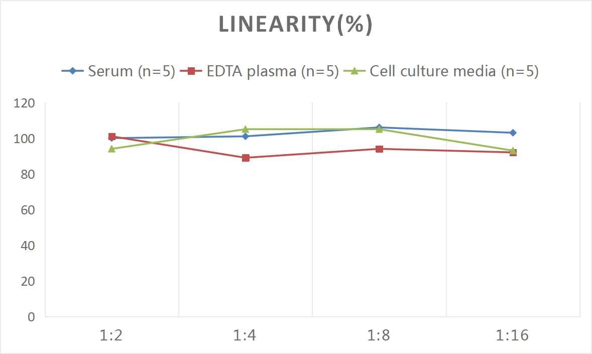 Rat IL-18(Interleukin 18) ELISA Kit-产品推荐-3