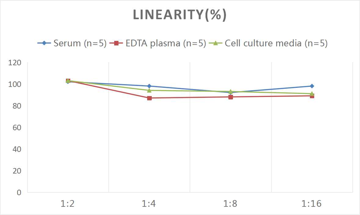 Mouse SEMA3C(Semaphorin-3C) ELISA Kit - 2
