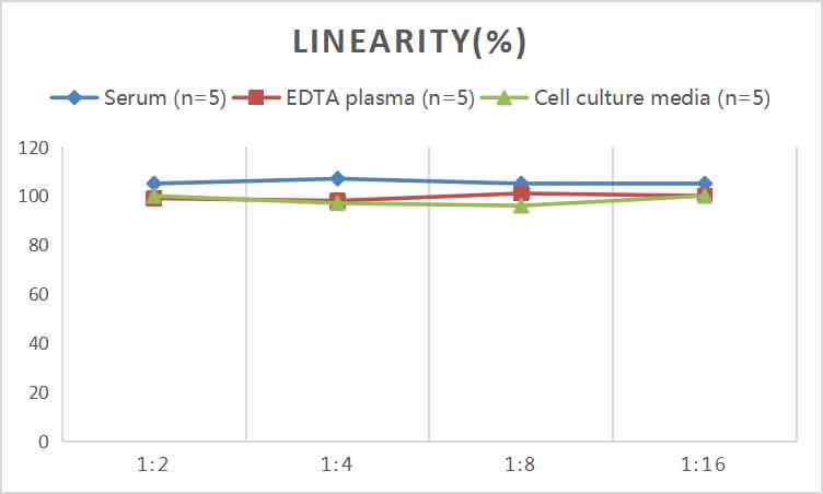 Mini Sample Human IL-3 (Interleukin-3) ELISA Kit - small - 2