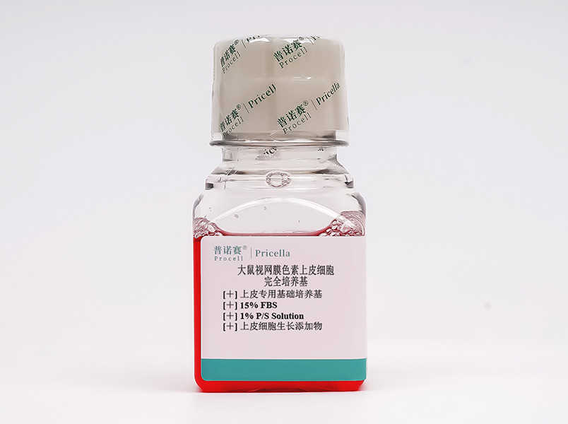 https://789.bio/ec/ePZPl9