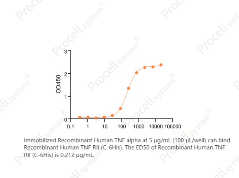 TNFR2/TNFRSF1B/CD120b (C-6His), Human, RecombinantTNFR2/TNFRSF1B/CD120b (C-6His), Human, Recombinant - 2