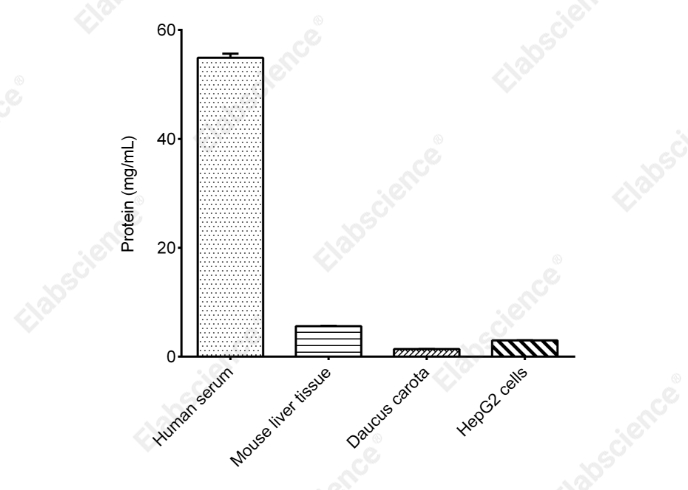 BCA Protein Colorimetric Assay Kit - 2