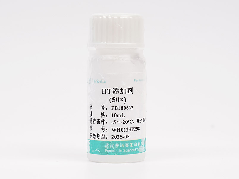 https://789.bio/ec/eSCOtL