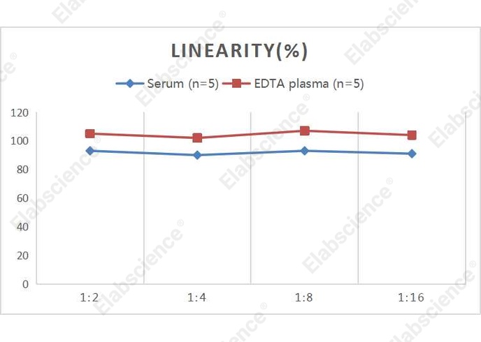QuicKey Pro Rat PAI1 (Plasminogen Activator Inhibitor 1) ELISA Kit - 2