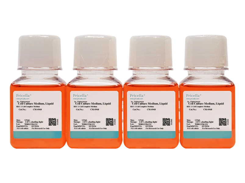REC-1 Cell Complete Medium-searchlist-1