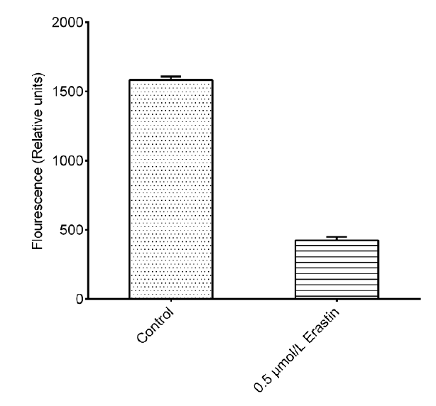 Cystine Uptake Fluorometric Assay Kit-1