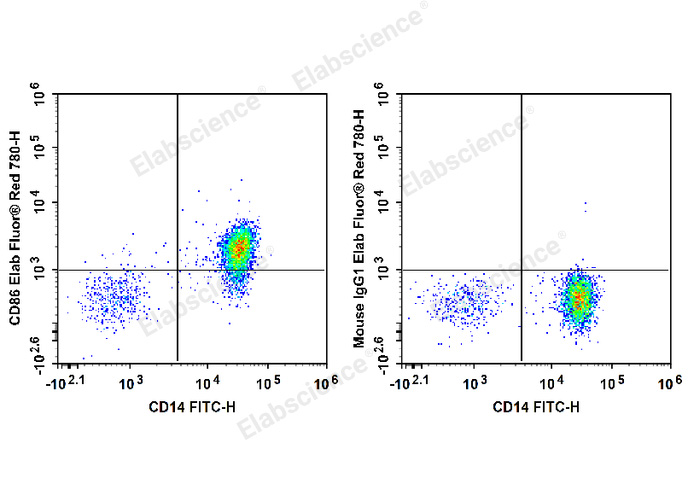 Human peripheral blood monocytes are stained with FITC Anti-Human CD14 Antibody and Elab Fluor® Red 780 Anti-Human CD86 Antibody (Left). Monocytes are stained with FITC Anti-Human CD14 Antibody and Elab Fluor® Red 780 Mouse IgG1, κ Isotype Control (Right).