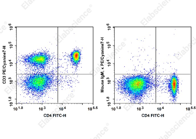 PE/Cyanine 7 Anti-Rat CD3 Antibody[1F4] - 1