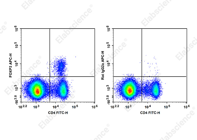 Purified Anti-Human CD45 Antibody[QA17A19]-产品推荐-4