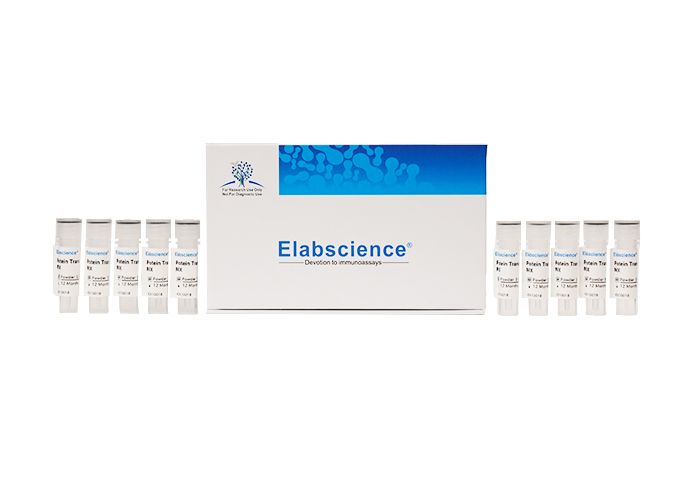 Protein Transport Inhibitor MIX