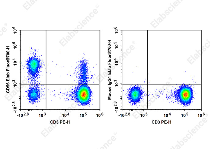 Elab Fluor® 700 Anti-Human CD56/NCAM Antibody[5.1H11]-1