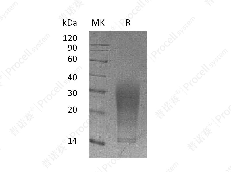 https://789.bio/ec/eieHR8