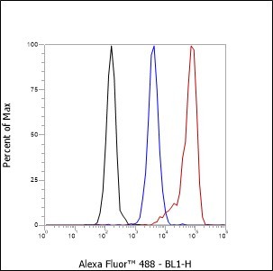 Recombinant Calpain small subunit 1 Monoclonal Antibody - small - 3