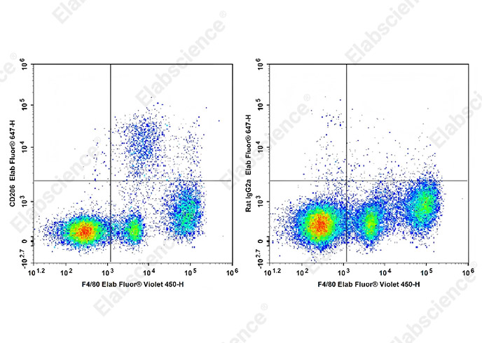 Elab Fluor® 647 Anti-Mouse CD206 Antibody[Y17-505]-1