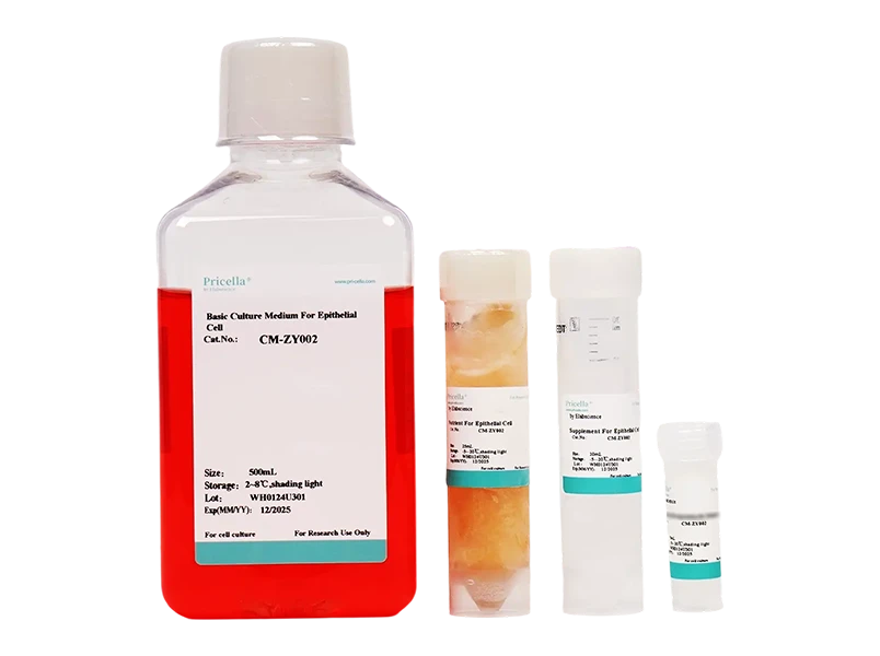 Epithelial Cell Medium (EpiCM)-searchlist-1
