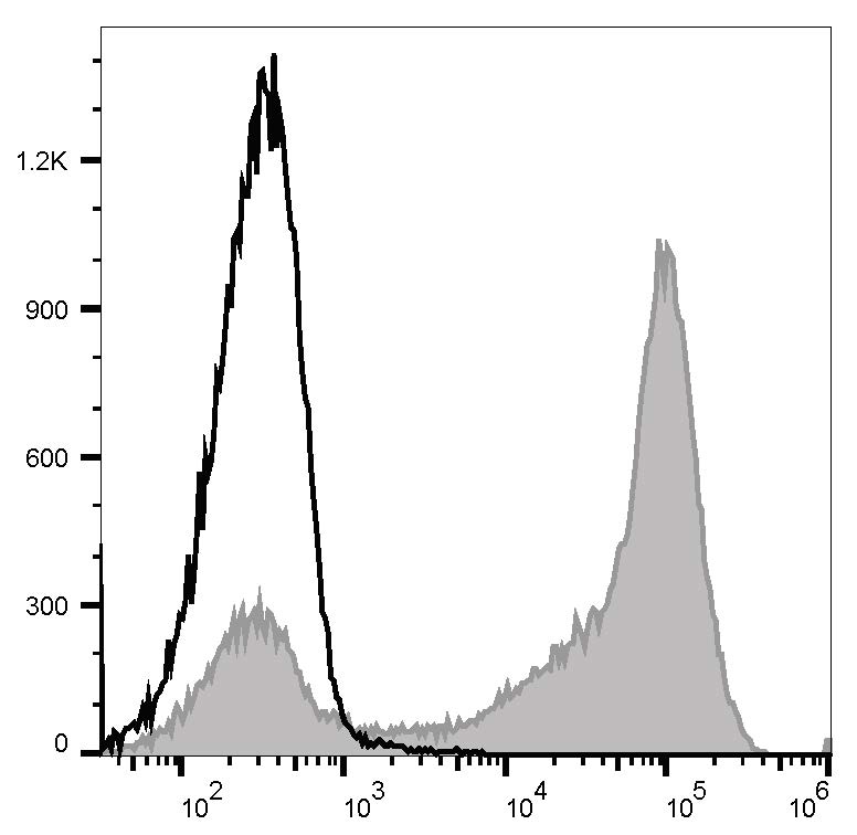 PE/Cyanine7 Anti-Mouse Ly-6G/Ly-6C (Gr-1) Antibody[RB6-8C5]-1