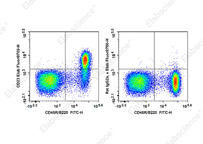 Purified Anti-Human CD122 Antibody[TU27]-产品推荐-1