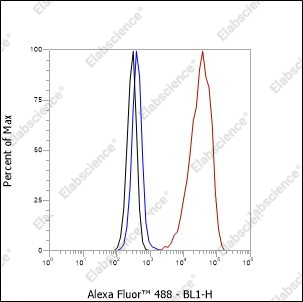 Recombinant SF1 Monoclonal Antibody - 7