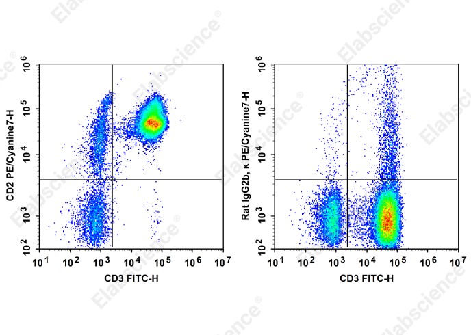 PE/Cyanine 7 Anti-Human CD2 Antibody[LO-CD2a] - 1