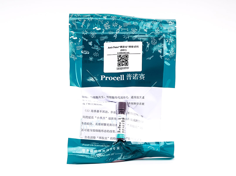 https://789.bio/ec/eu1GVH
