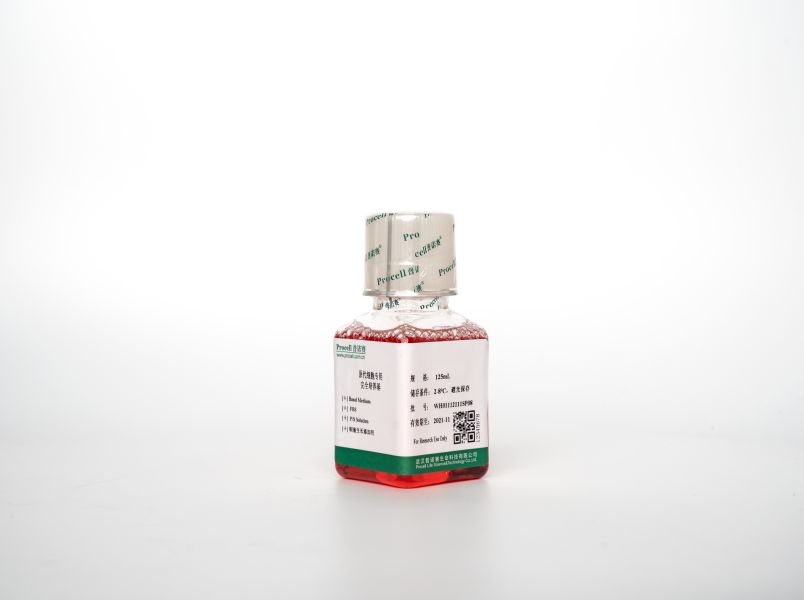 https://789.bio/ec/euWPd5