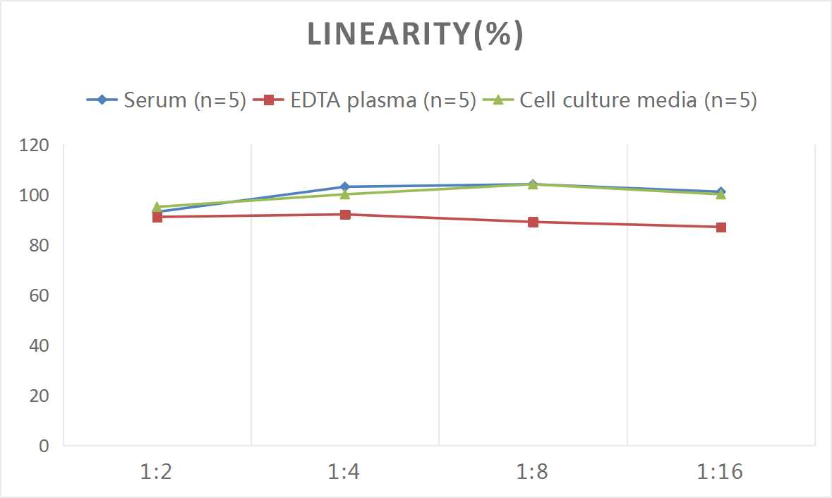 Mouse IFN-γ(Interferon Gamma) ELISA Kit-1