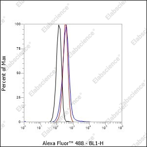Recombinant Phospho-BTK (Tyr551) Monoclonal Antibody - 2