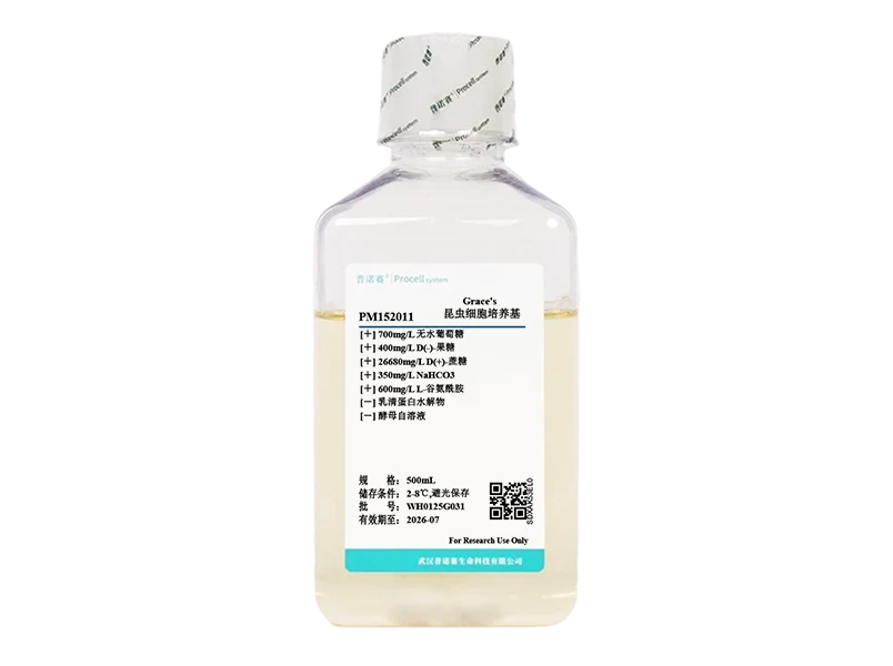 https://789.bio/ec/ezDg3Wqe