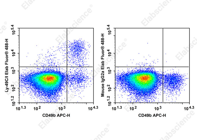 Elab Fluor<sup>®</sup> 488 Anti-Mouse Ly-49C/I Antibody[5E6]-searchlist-1