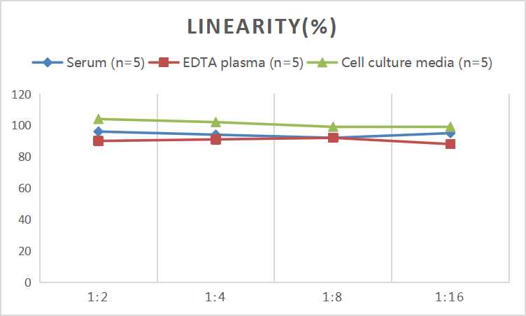 Mini Sample Human VEGF165 (Vascular Endothelial Growth Factor 165) ELISA Kit - small - 2