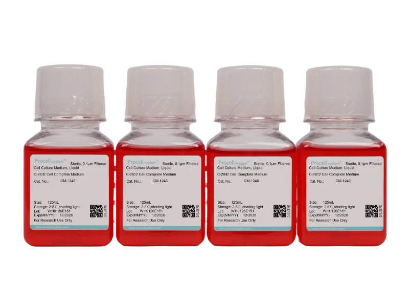 C-28/I2 Cell Complete Medium