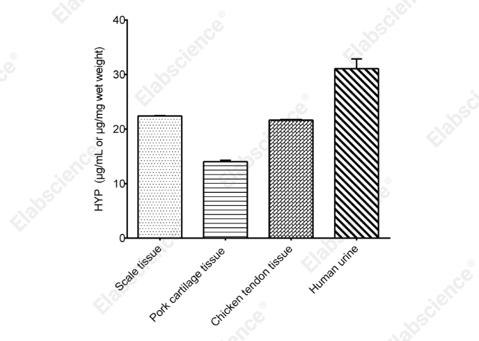 Hydroxyproline (HYP) Colorimetric Assay Kit (Acid Hydrolysis Method) - 2