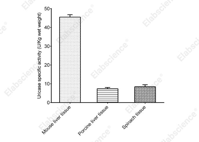 Uricase Acitivity Colorimetric Assay Kit - 1