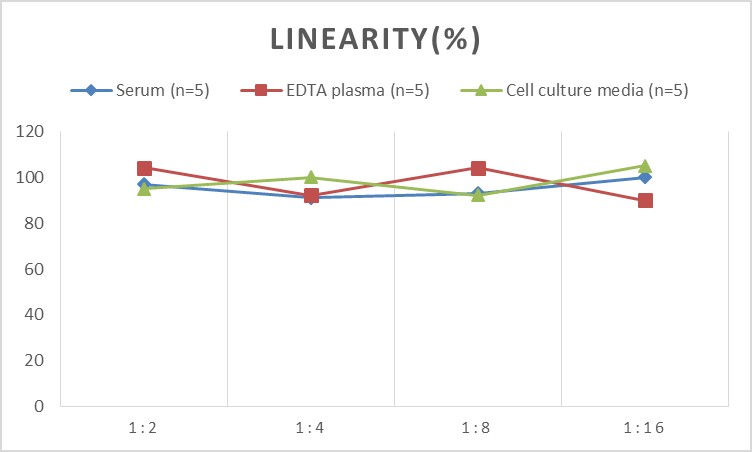 Mini Sample Mouse IL-17A(Interleukin 17A) ELISA Kit-1