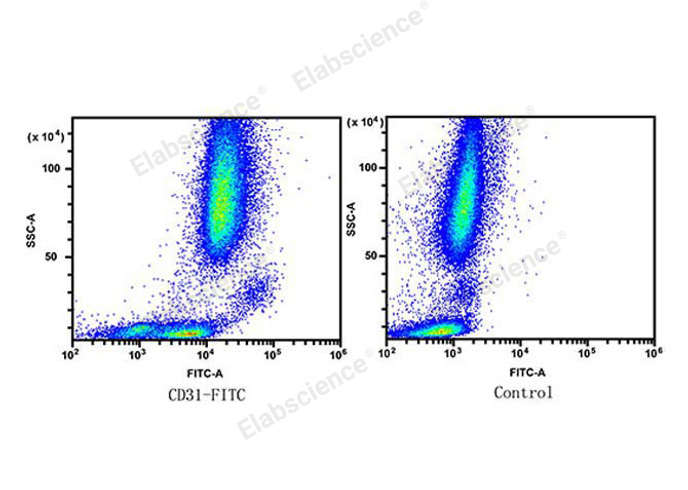 Human peripheral blood lymphocytes, monocytes and granulocytes are stained with FITC Anti-Human CD31 Antibody (Left). Unstained human peripheral blood lymphocytes, monocytes and granulocytes are used as control (Right).