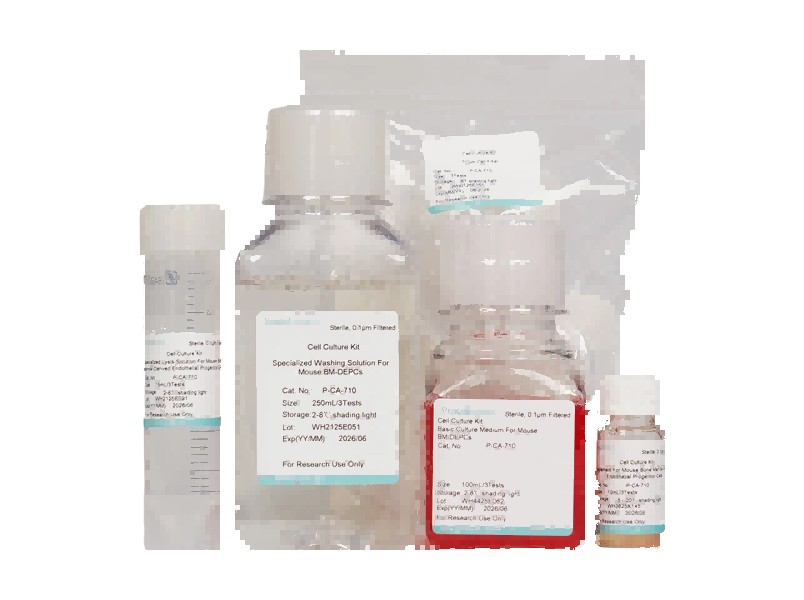 Mouse Bone Marrow-Derived Endothelial Progenitor Cell Isolation and Culture Kit - 1