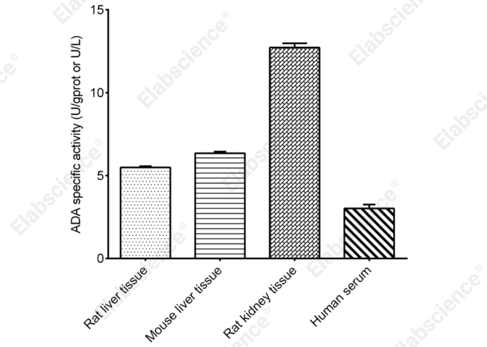 Adenosine Deaminase (ADA) Activity Assay Kit - 2